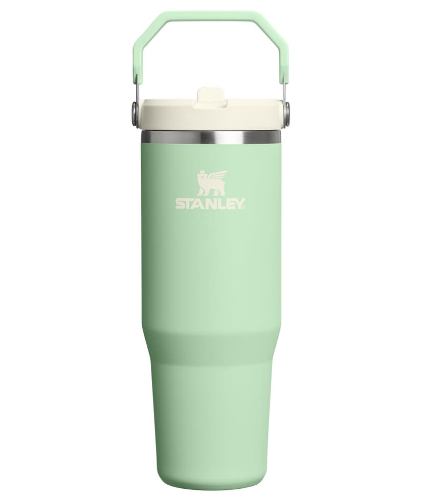 STANLEY IceFlow 2.0 Flip Straw Tumbler, 30 oz, Pistachio | Easy Carry Handle | Twist On Lid and Flip Up Straw | Leak Resistant Water Bottle | Insulated Stainless Steel | BPA-Free