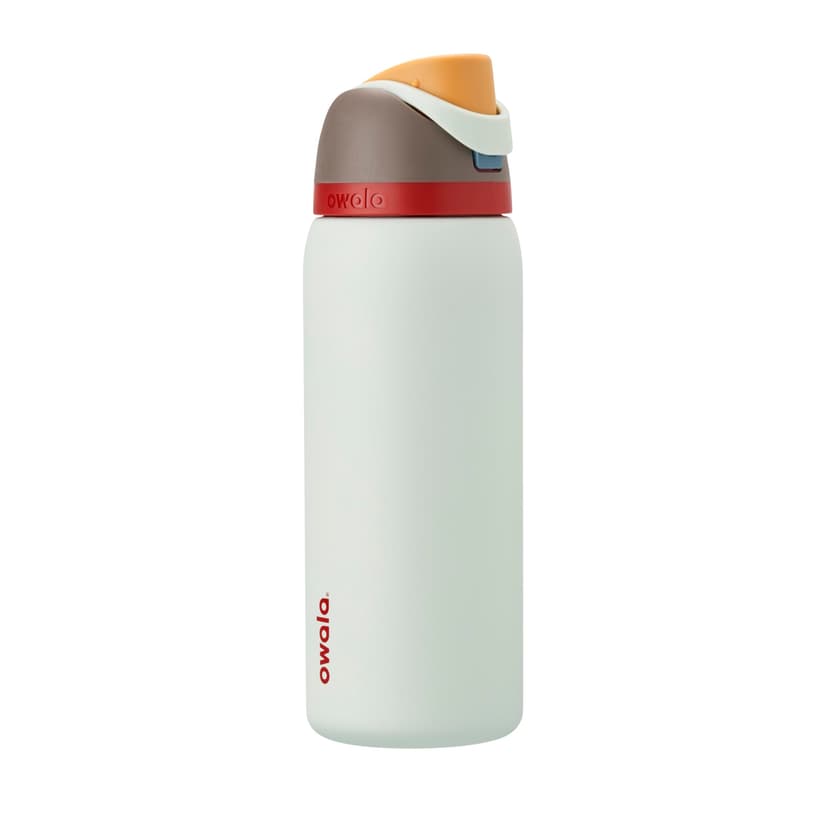 Owala FreeSip Stainless Steel Water Bottle 32 oz Boneyard