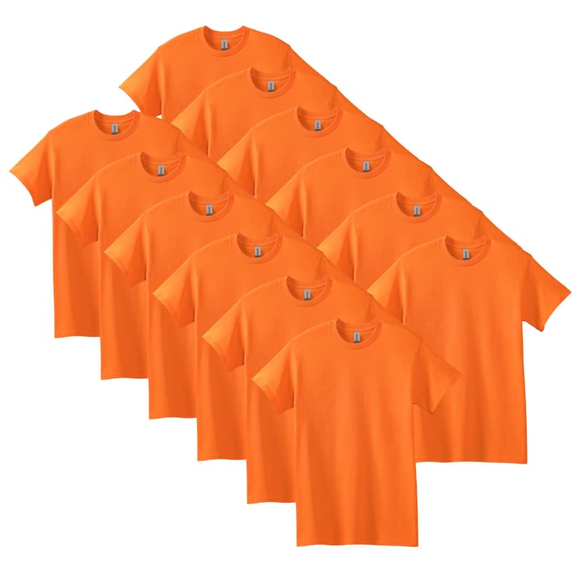 Gildan Adult Heavy Cotton T-Shirt, Style G5000