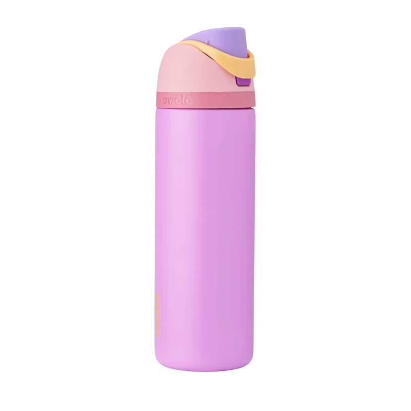 Owala Princess FreeSip Stainless Steel Water Bottle 24 oz Rapunzel