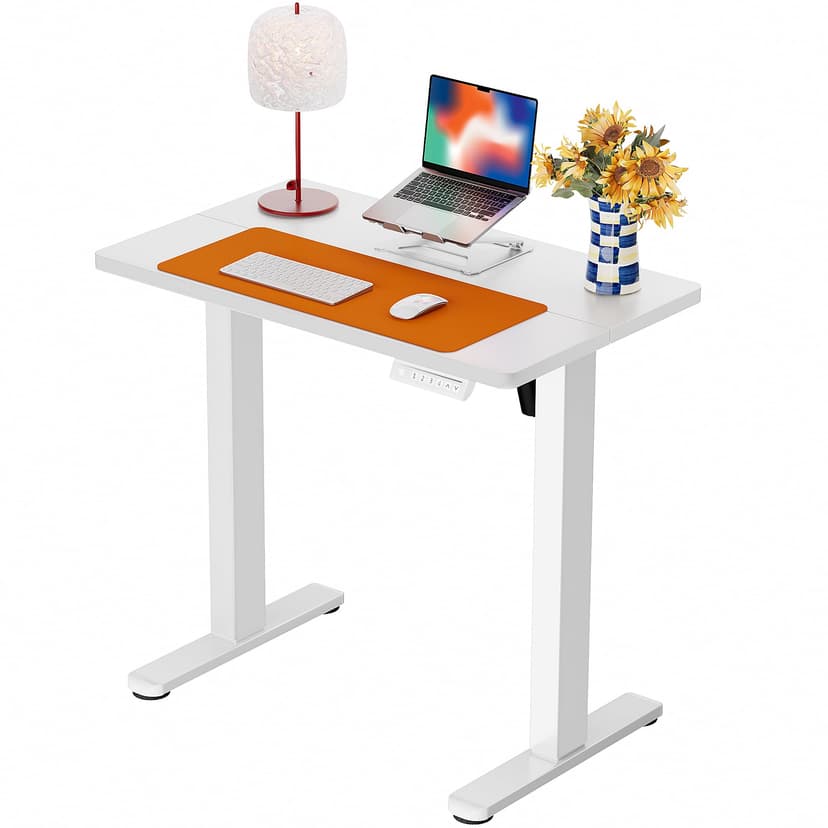 ErGear Height Adjustable Electric Standing Desk, 32 x 19 Inches Sit Stand up Desk with Memory Presets, Computer Home Office Desk, White